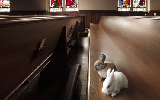 church-bunnies.jpg